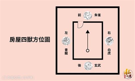 收虎水|風水理論中的龍邊與虎邊